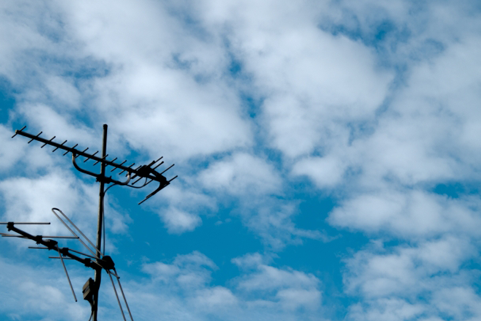 岐阜県瑞穂市で電気工事するなら穂積電気商会　イメージ写真